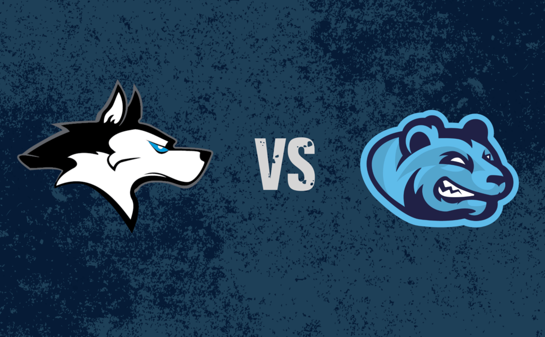 Huskies Wels vs Styrian Bears